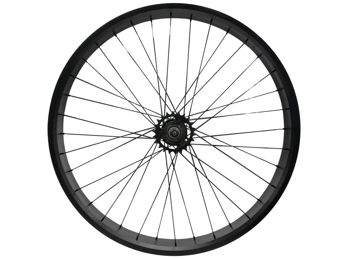 26" Fat Tire Coaster Brake Beach Cruiser Wheel Set (Black)