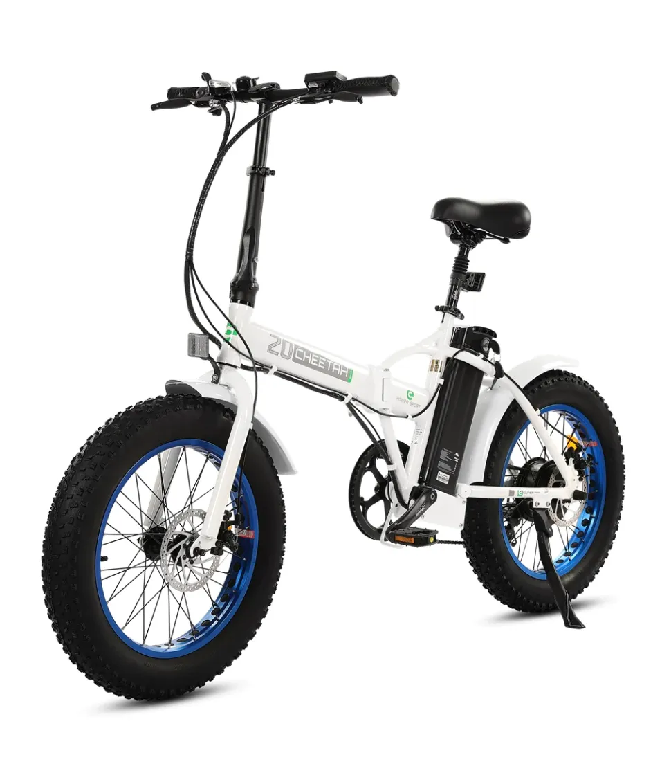 Ecotric 36V 500W 20" Fat Tire Folding Electric Bike