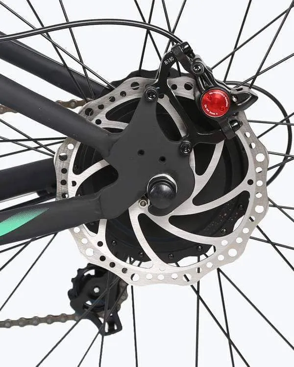 Ecotric Hammer 48V 750W Electric Fat Tire Beach Cruiser