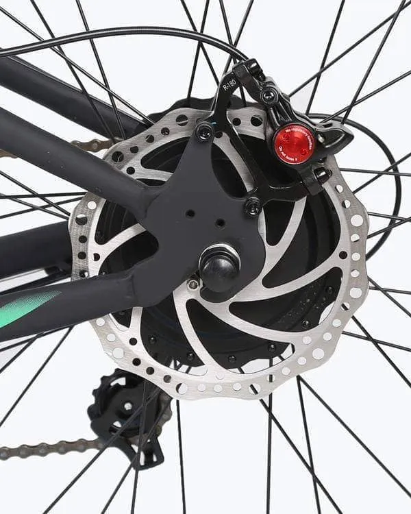 Ecotric Hammer 48V 750W Electric Fat Tire Beach Cruiser