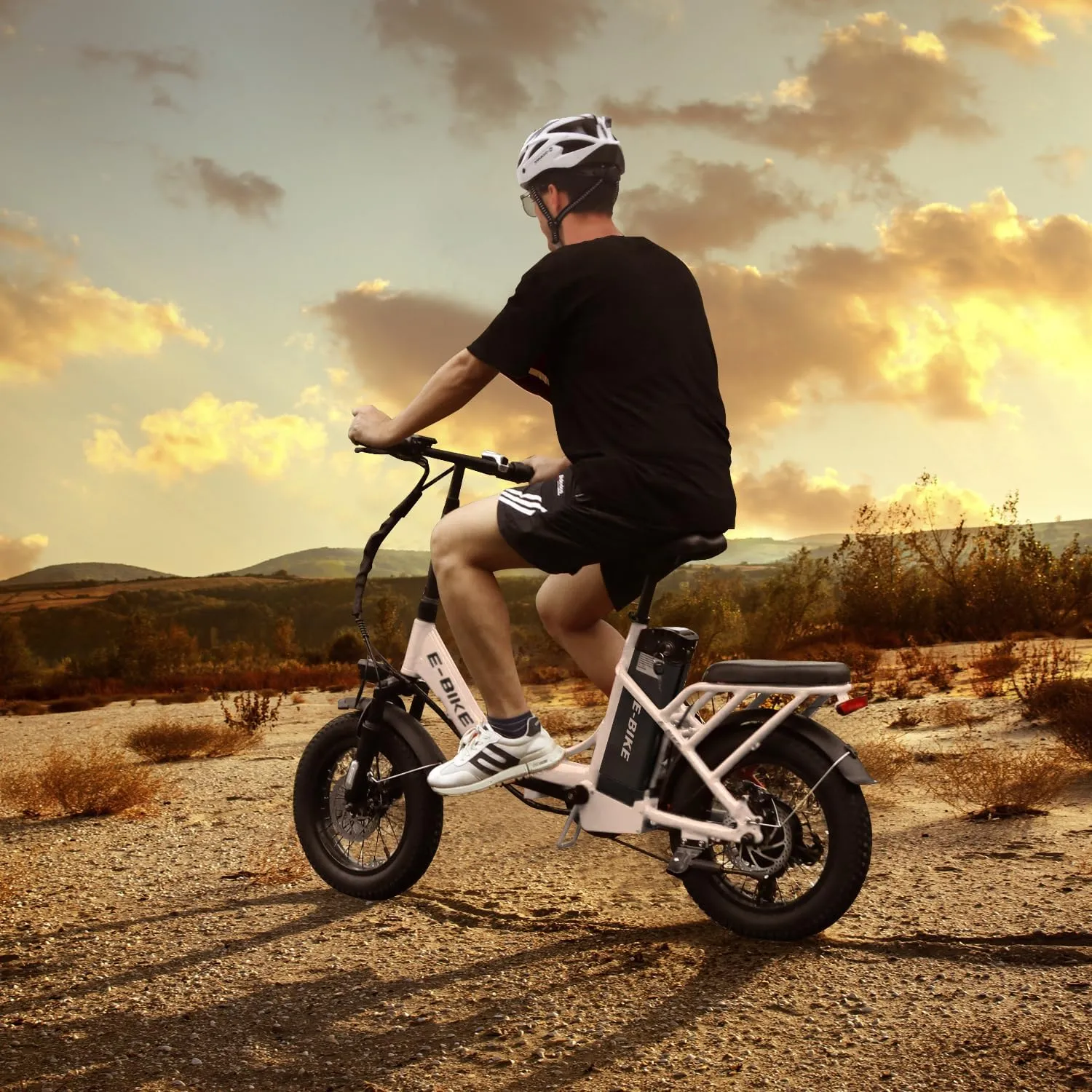 Electric Bike for Adults, 750W Long Range Foldable Ebike with One/Dual Removable Battery, 40-120 Mile/25-30MPH, 20"/16 Fat Tire Electric Bicycle