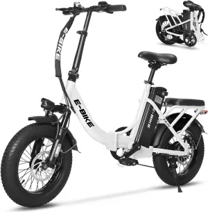 Electric Bike for Adults, 750W Long Range Foldable Ebike with One/Dual Removable Battery, 40-120 Mile/25-30MPH, 20"/16 Fat Tire Electric Bicycle