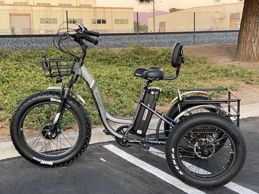 Emojo Caddy Pro 48V 500W Fat Tire Tricycle eBike