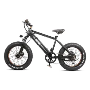Nakto Discovery 20" Fat Tire 350W 48V Electric Bike