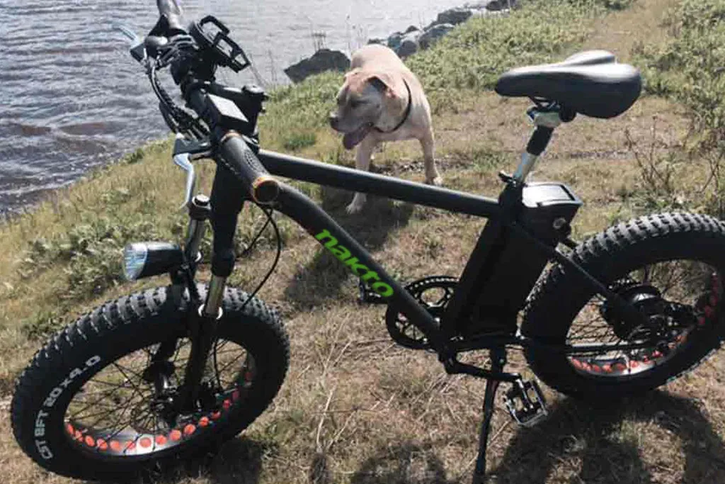 Nakto Mini Cruiser Fat Tire Electric Bike